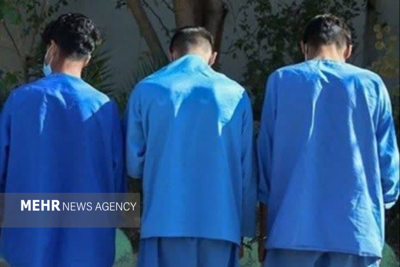 متهمان سرقت و زورگیری از سالمندان و افراد کم‌توان دستگیر شدند