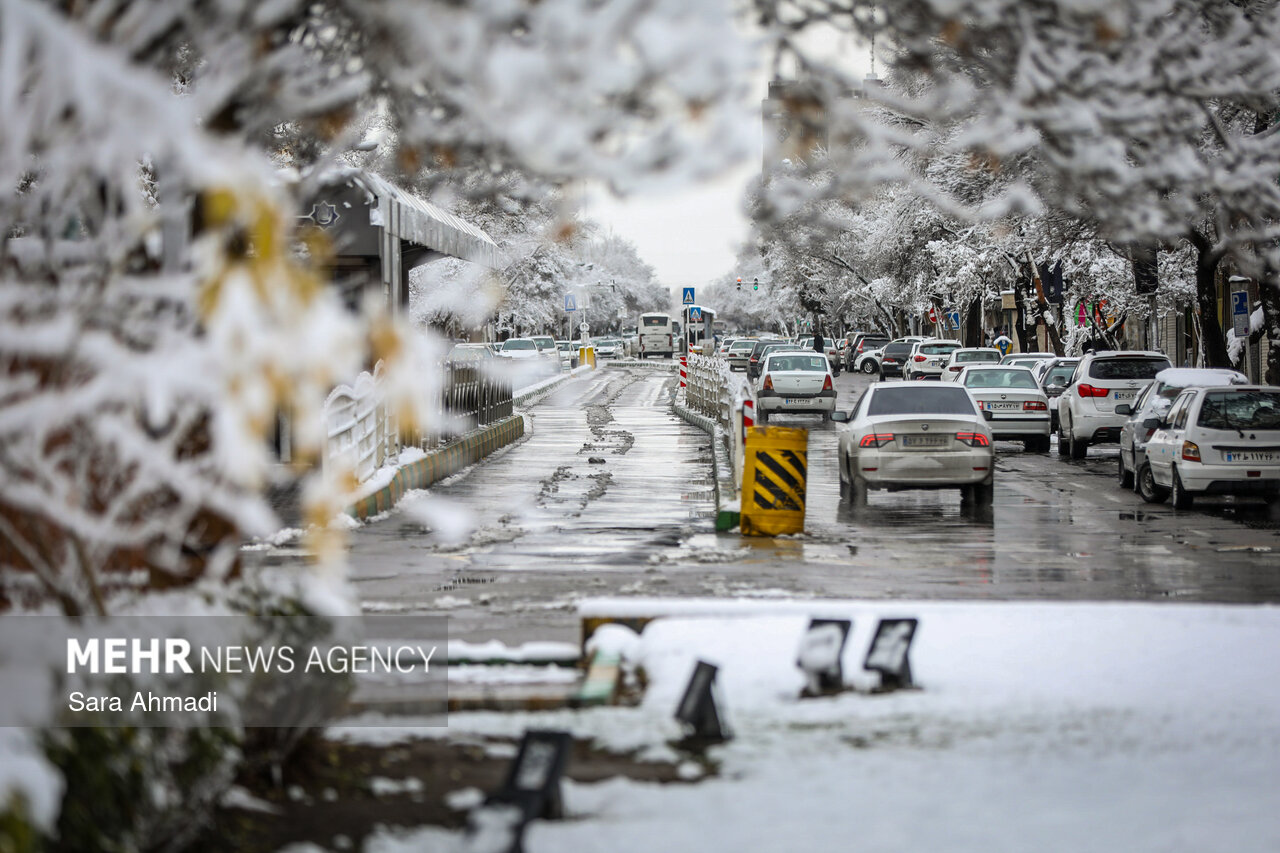 محمدپور: بارندگی ها در مهاباد ۷۵ درصد افزایش یافت