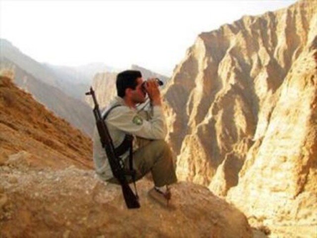 محمدی: گشتهای شبانه محیط زیست سنندج برای مقابله با شکارچیان اجرا شد