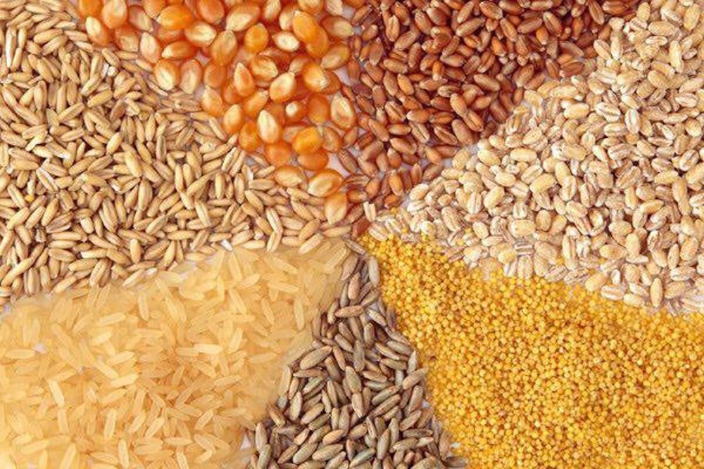 محکومیت ۲ میلیون یورویی شرکت واردکننده خوراک دام