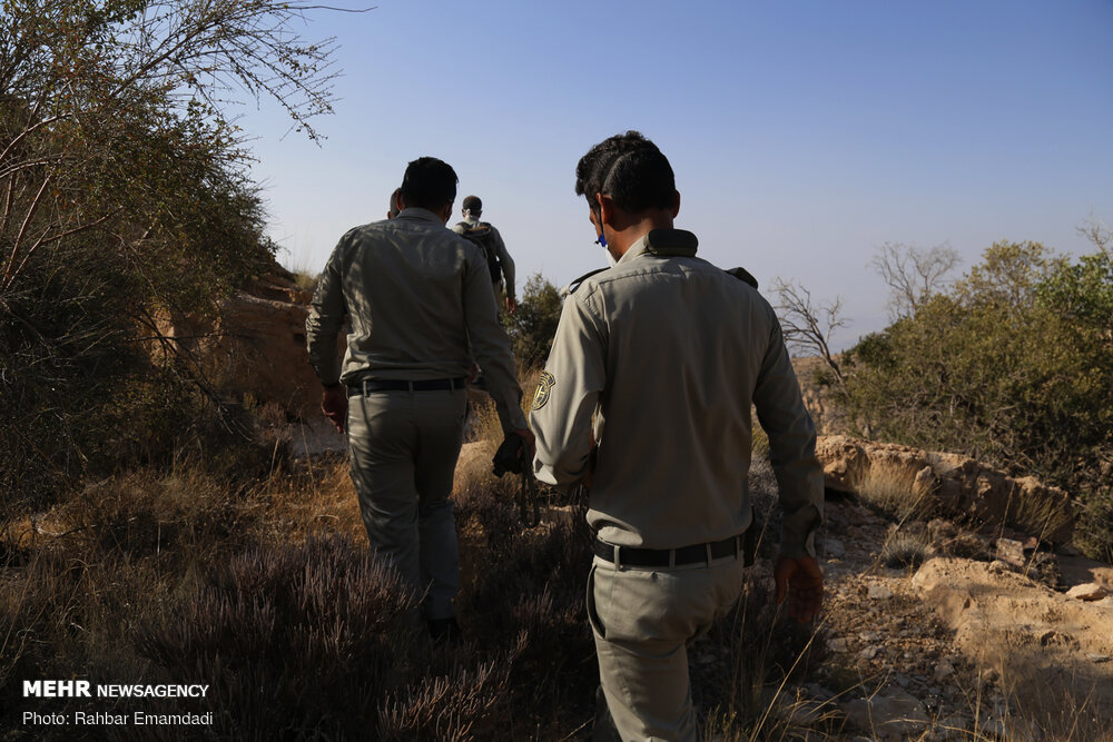 محیط بان در محلی خارج از هرگونه منطقه حفاظت شده مرتکب قتل شده است