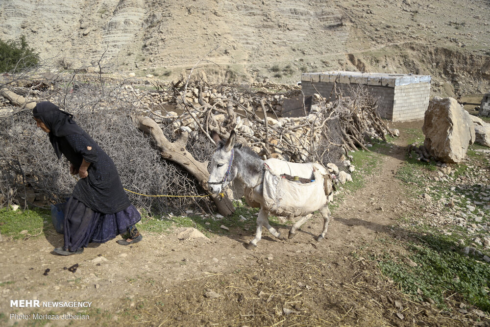 مددجویان روستایی بدون مسکن صاحب خانه میشوند