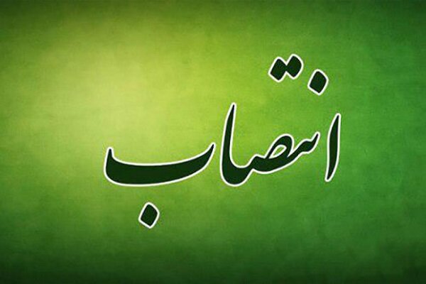 مدیرکل جدید امور زنان و خانواده وزارت کشور منصوب شد