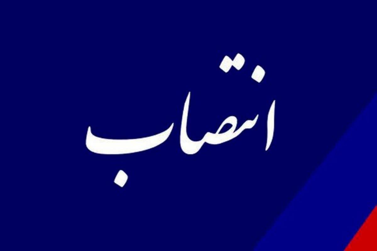 مدیرکل پشتیبانی و رفاه وزارت میراث فرهنگی منصوب شد