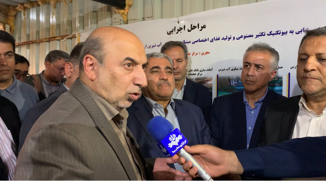 مزرعه پرورش تولید شاه میگو در آذربایجان غربی به ۵۰۰ هکتار می
رسد