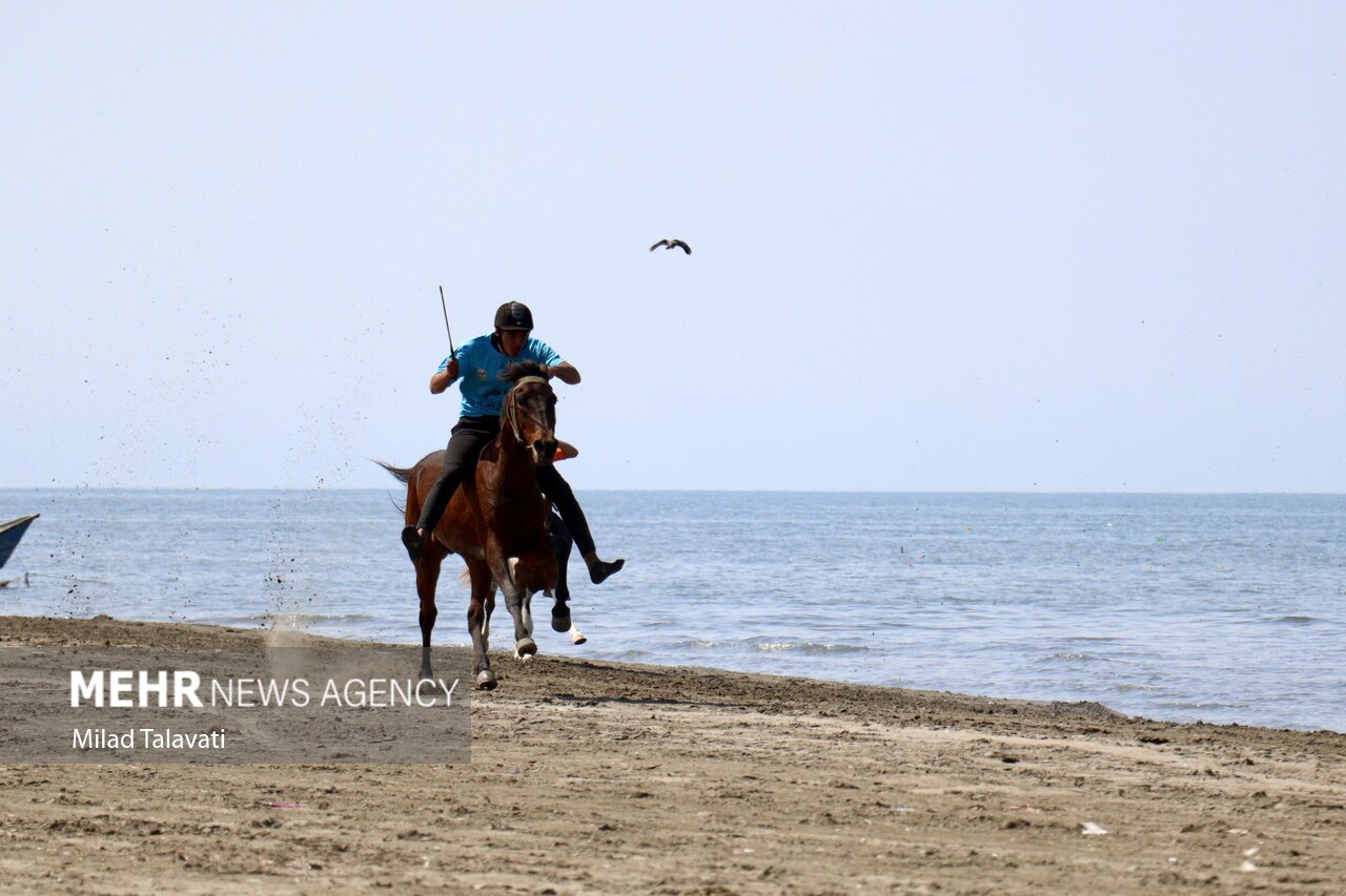 مسابقات کورس اسبدوانی گیلان