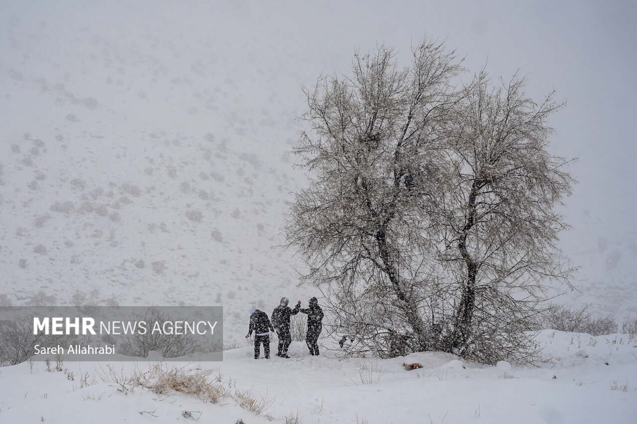 مسدود شدن راه ارتباطی سروآباد-اورامان-پاوه به دلیل بارش برف