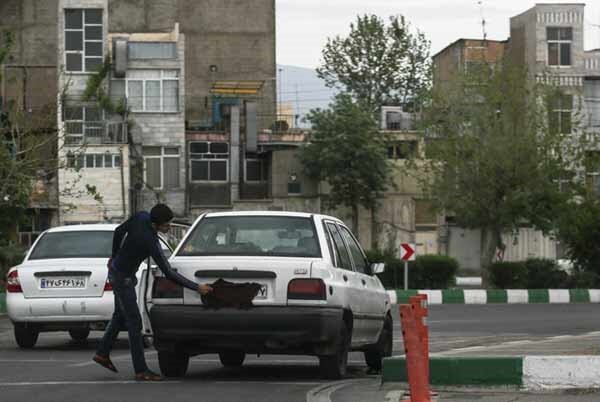 مطالبه شهروندان از پلیس برای برخورد با وسایل نقلیه پلاک مخدوش
