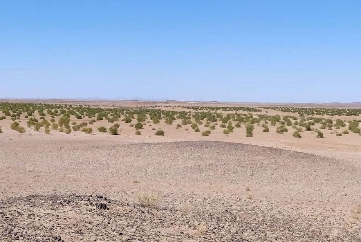 مطالعه خاک کردستان در اولویت پژوهش های استان قرار گیرد