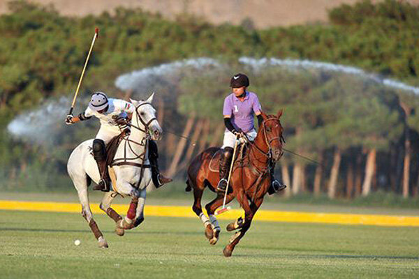 ملی‌پوش چوگان: ما اهل سکوت در برابر ظلم نیستیم