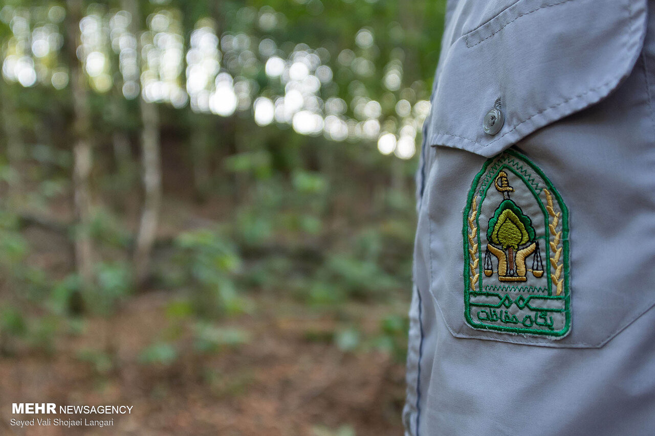 منابع طبیعی اصفهان با کمبود اعتبارات و نیروی انسانی رو به رواست