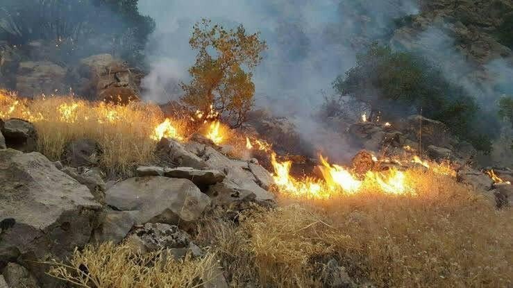 مهار کامل آتشسوزی در منطقه حفاظتشده شاهو و کوسالان