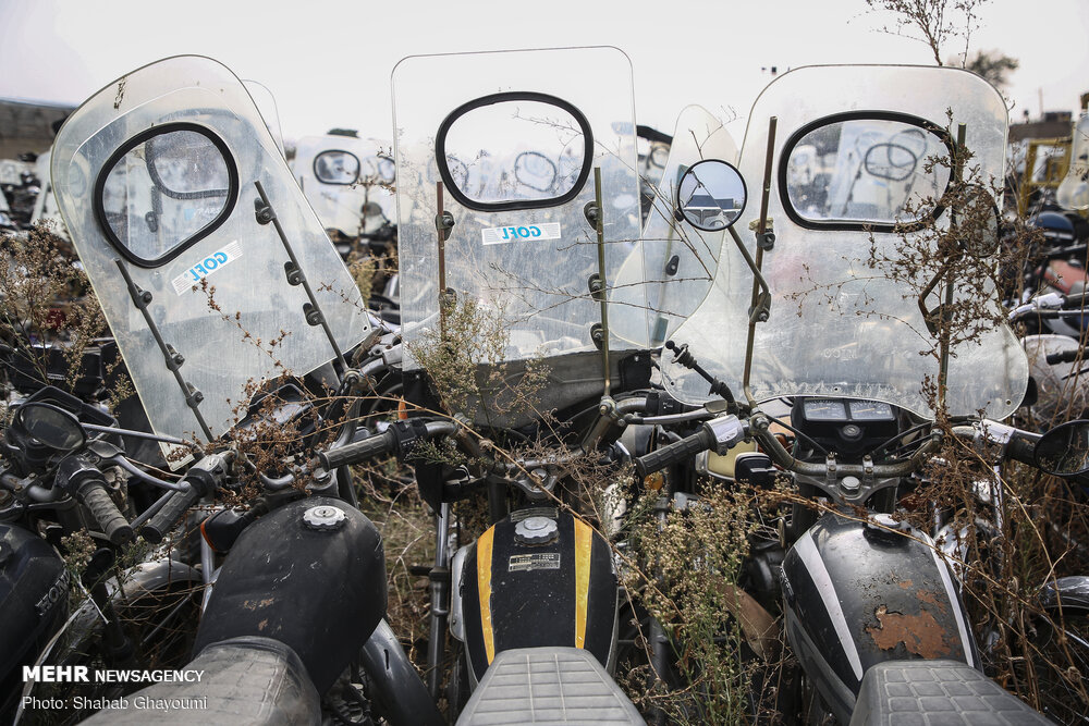 موتورسواران ۴۶ درصد کشته های پایتخت را تشکیل میدهند