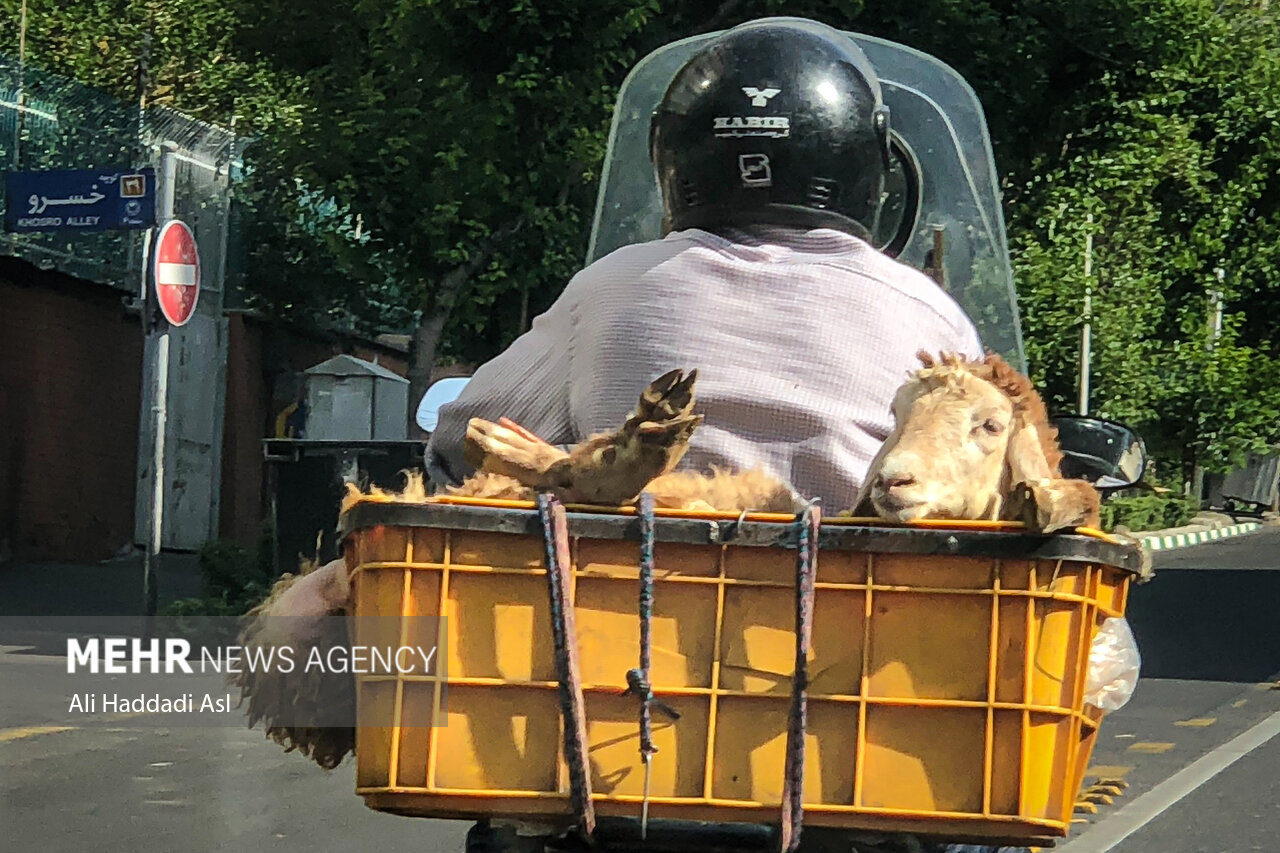 موتورسیکلت و معضلات موتورسواری