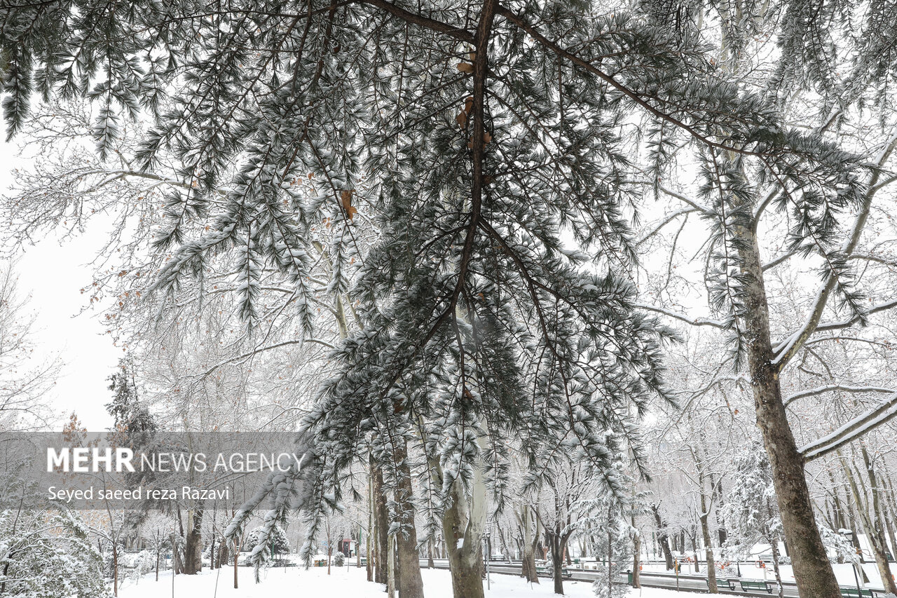 موج جدید بارشی از فردا در کردستان فعال می شود
