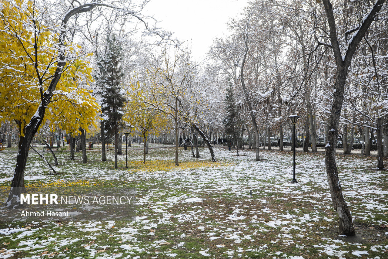 موج جدید بارشی نیمه غربی کردستان را در بر می گیرد