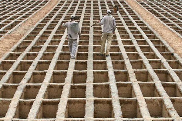 میانگین سنی فوت‌شدگان در کشور/فوت مردان ۶ درصد بیشتر اززنان