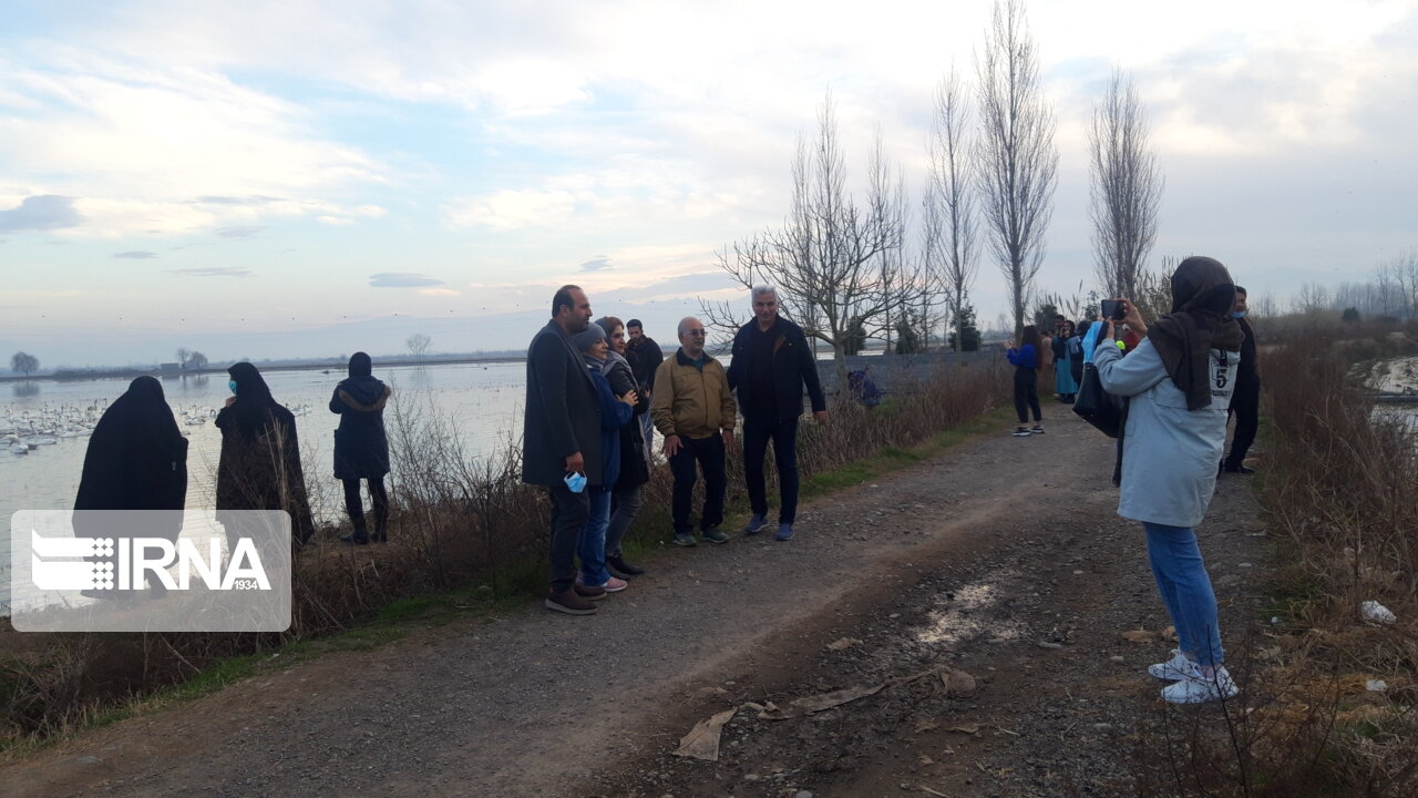 میزبانی تالاب سرخرود از پرندهنگرها