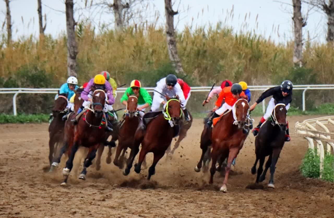 نامزد مستقل حضور در انتخابات هستم/مقابل تخلفات روسای قبلی ایستادم