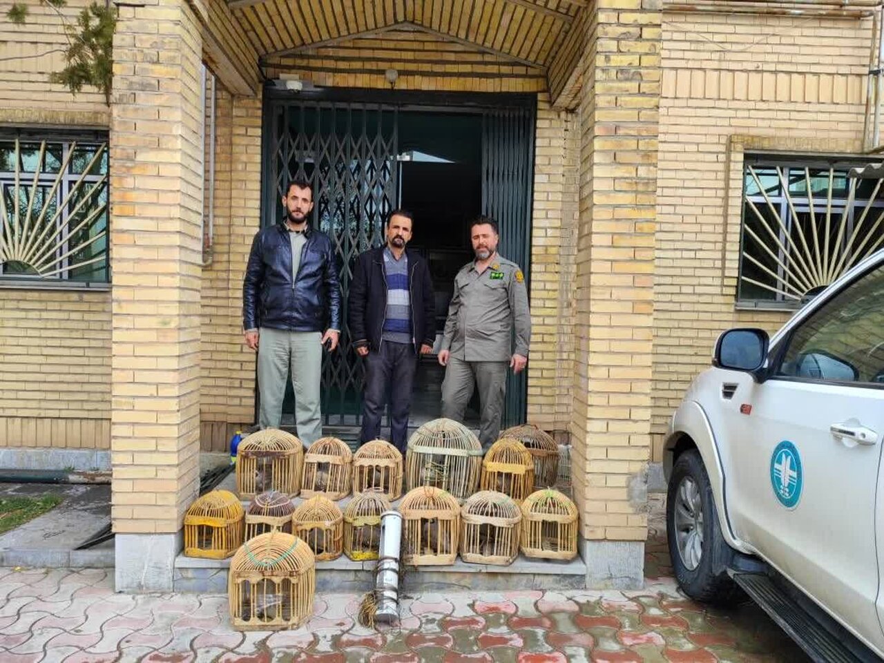 نجات ۱۲ قطعه کبک از دست شکارچی متخلف در سقز