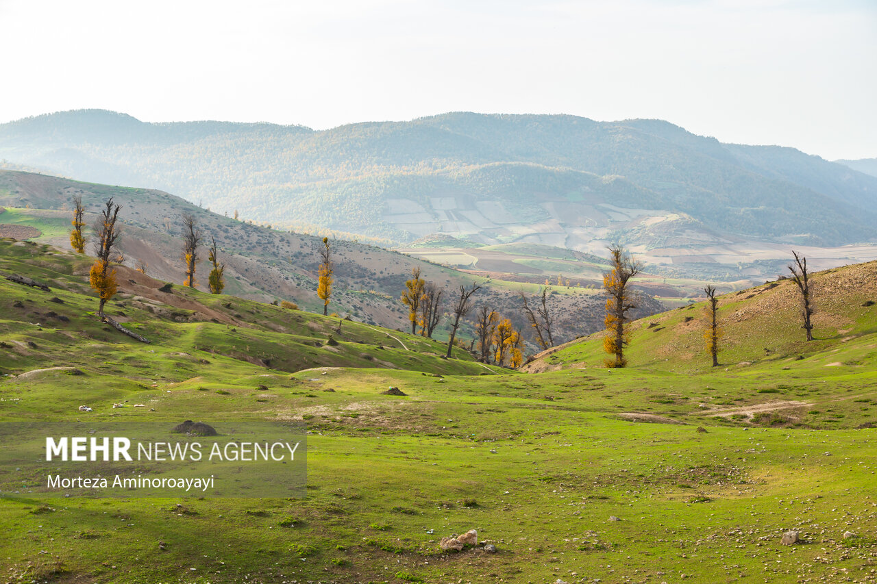 نفس جنگل‌های ایران به شماره افتاد/ آژیر خطر برای محیط زیست
کشور