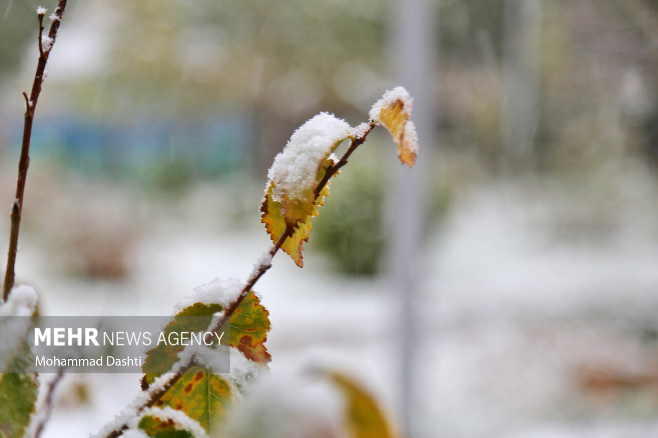 نفوذ سامانه بارشی جدید به اردبیل از روز جمعه/دما کاهش مییابد