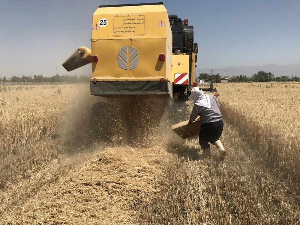 نقش مخرب سوزاندن ضایعات کشاورزی در آلودگی هوای تهران