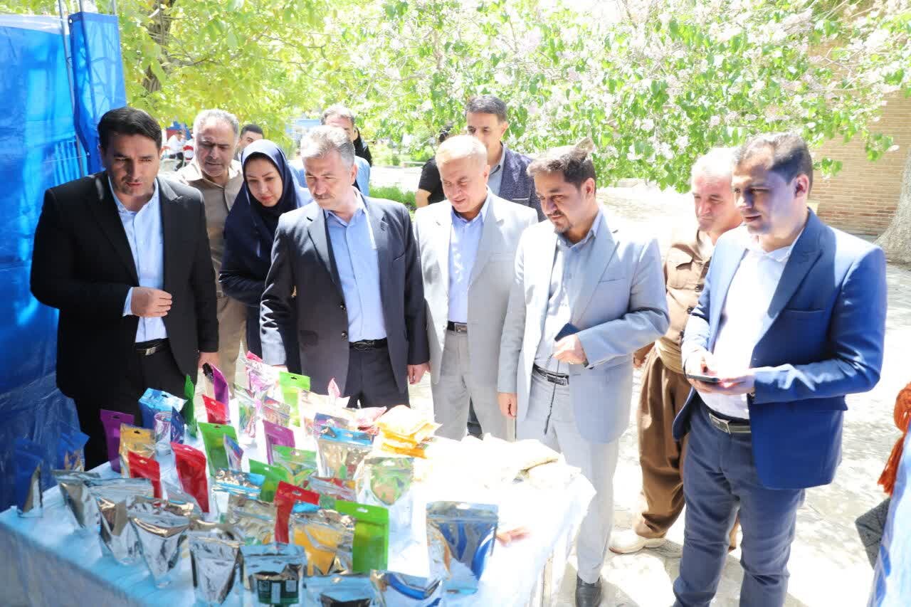 نمایشگاه صنایع‌دستی، مشاغل خانگی و صنعت‌کاران سنندج برپاشد