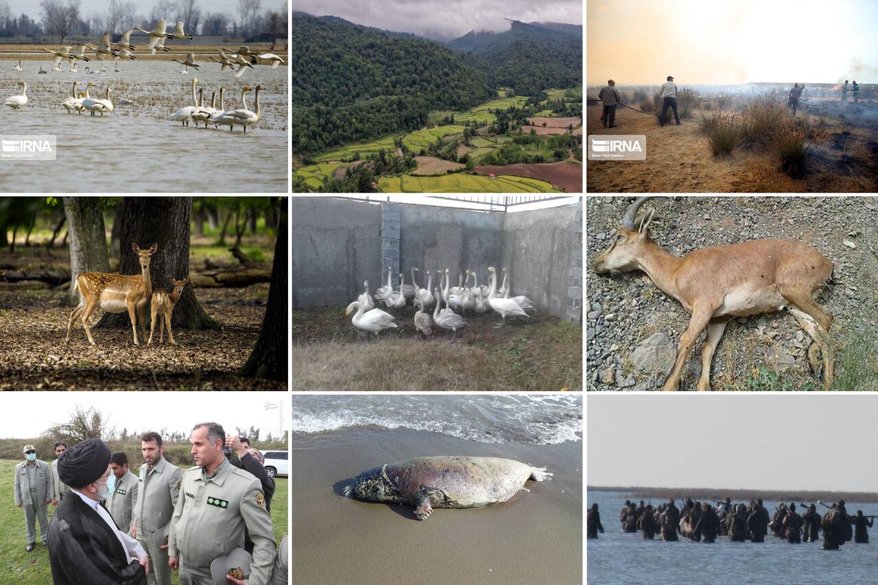 نگاهی به رویدادهای خبری محیط زیست و منابع طبیعی مازندران در سال ۱۴۰۰