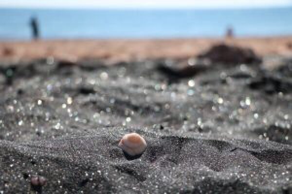 هرمز؛ ساحل نقره‌ای‌اش را می‌خواهد