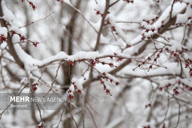 هشدار به کشاورزان ۳۱ استان با ورود سامانه بارشی جدید از
سه‌شنبه