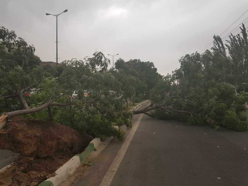 هشدار نارنجی هواشناسی در ۳ استان/آماده‌باش هلال احمر