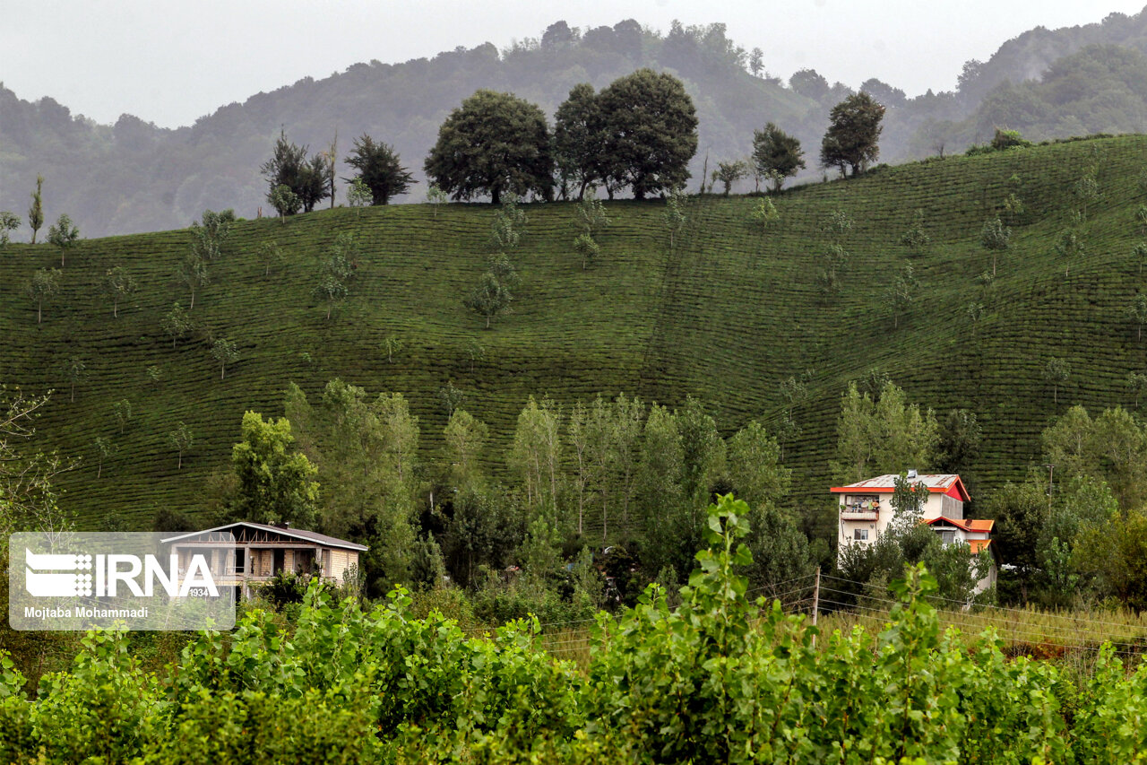 همکاری ایران و عمان برای حل مسائل محیط زیستی منطقه