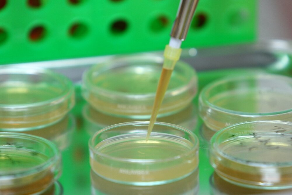 همکاری برای ورود فعالیتهای بانک ژنتیک به فرایندهای عمومی