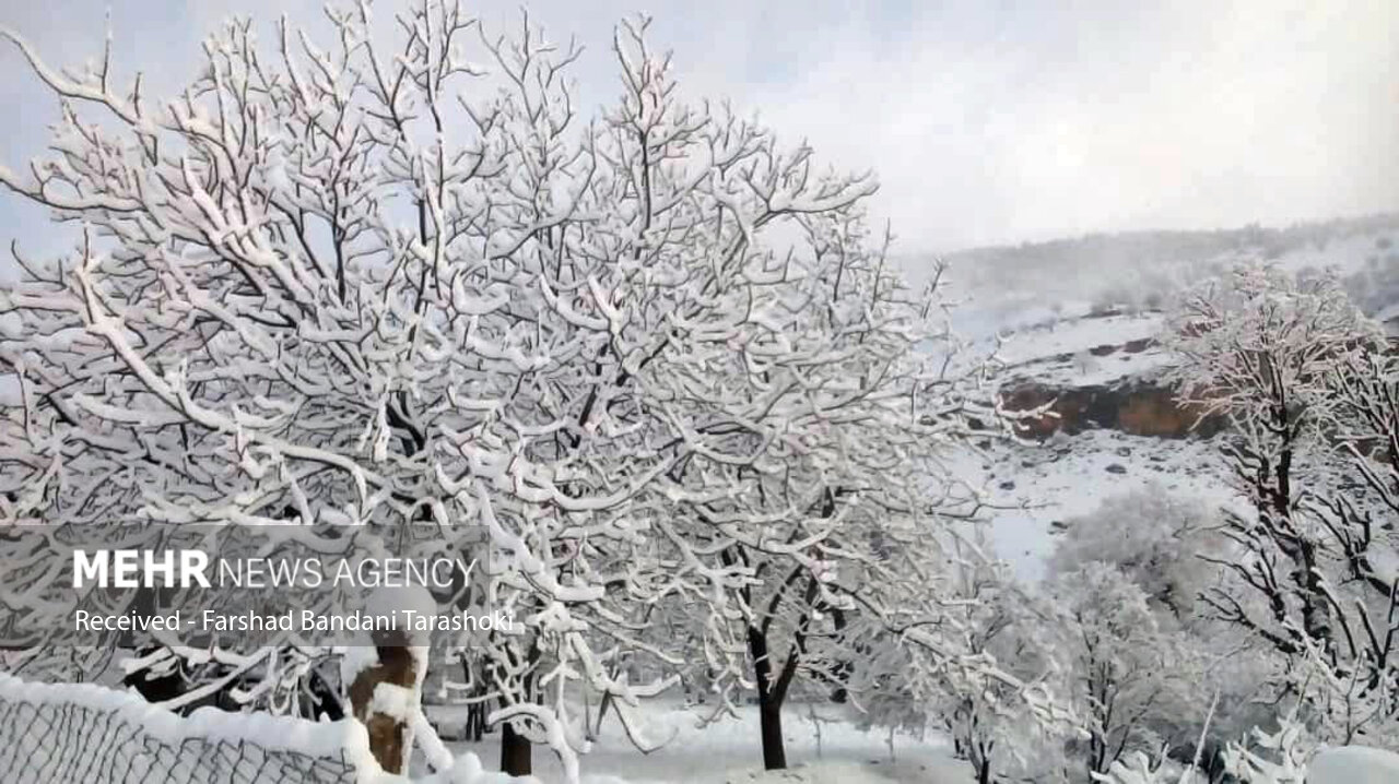 هوا تا یک شنبه سرد می‌شود/ ‏بارش‬ برف در تهران