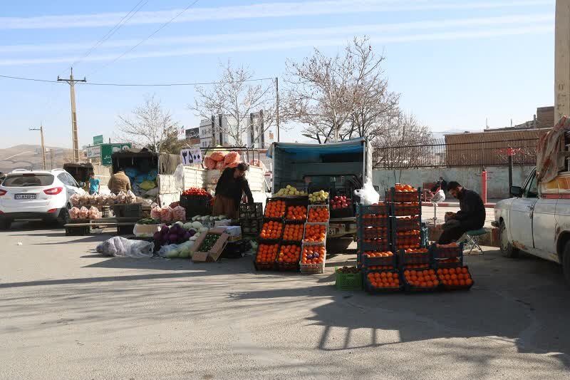 وانتهای میوهفروش در ۱۱ نقطه شهر سنندج ساماندهی میشوند