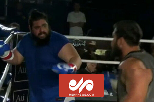 واکنش سرمربی تیم ملی بوکس به تحقیر هالک ایرانی