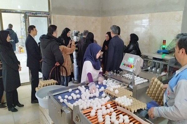 واگذاری۱۰۰۰هکتار زمین به سرمایه گذاران کشاورزی آذربایجان
غربی