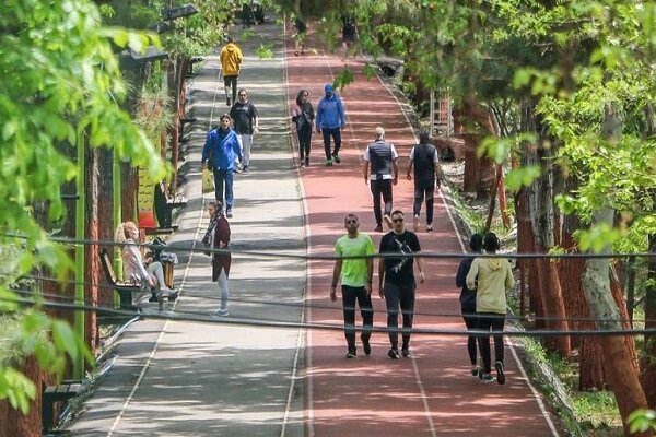 ورزش همگانی نیاز ضروری روزهای پرتنش؛ چگونه کنار خانواده به آرامش برسیم