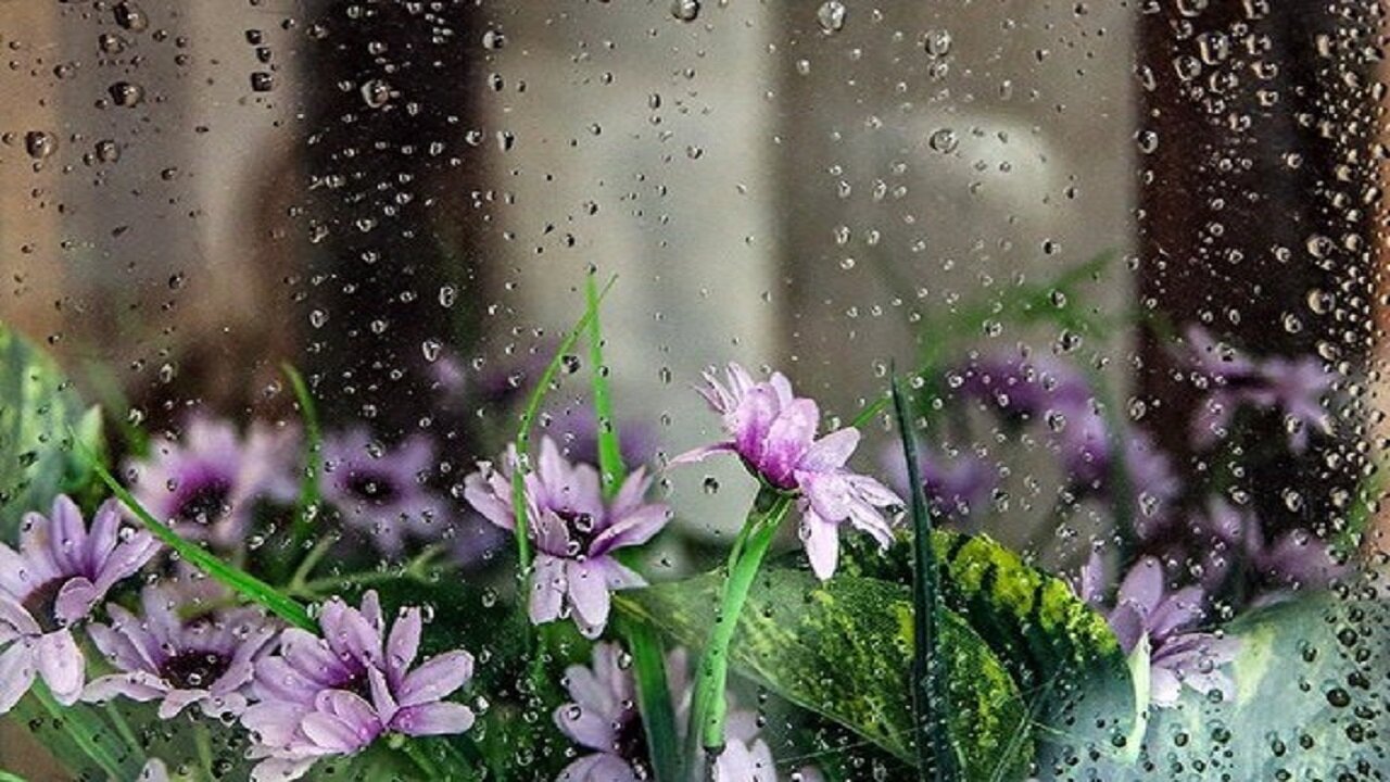 ورود سامانه بارشی از دوشنبه/ افزایش دما در سواحل دریایخزر