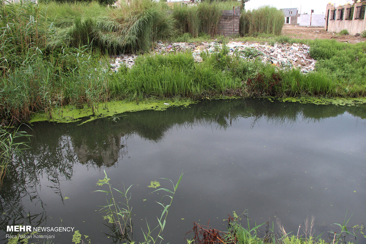 ورود فاضلاب خام به کانال آب کشاورزی پاکدشت- ورامین