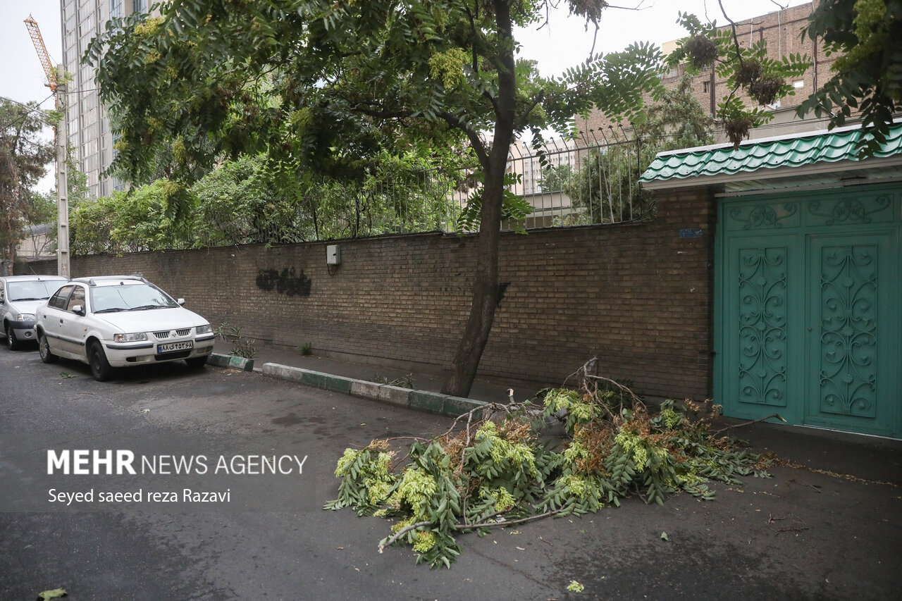 وزش باد شدید در جنوب و غرب تهران