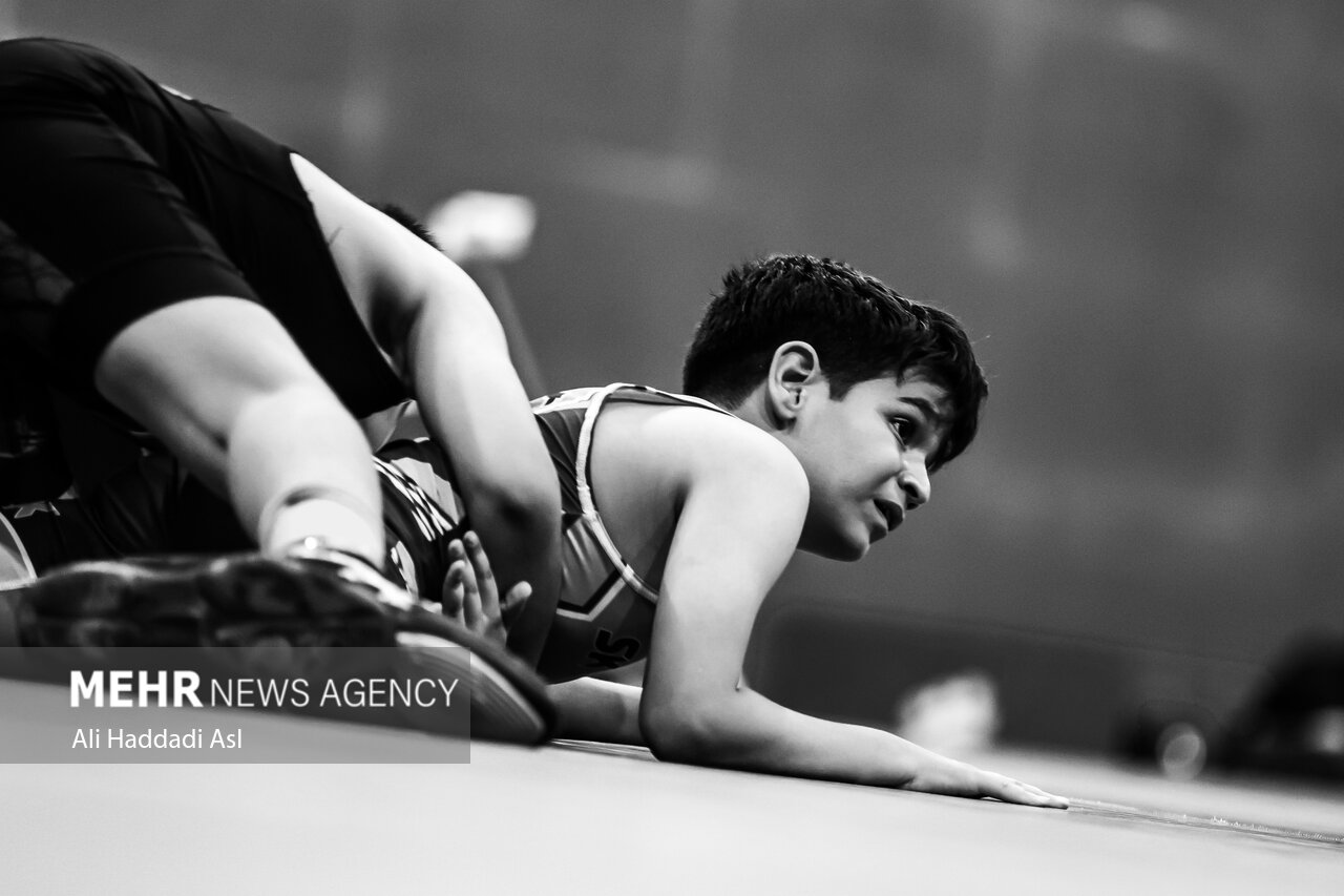 پایان جشنواره خردسالان کشتی آزاد تهران با تجلیل از قهرمانان