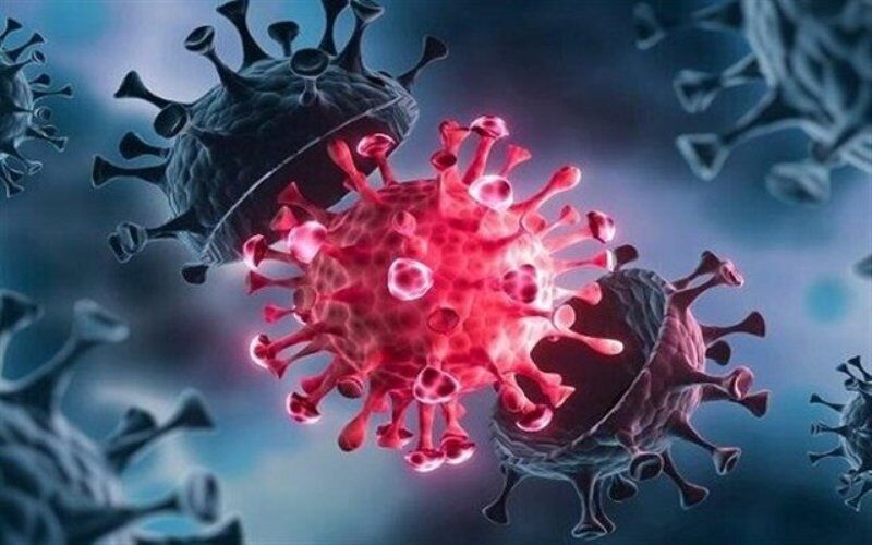 پایان دادن به افتوخیزهای شیوع کرونا تنها با رعایت بهداشت و واکسیناسیون