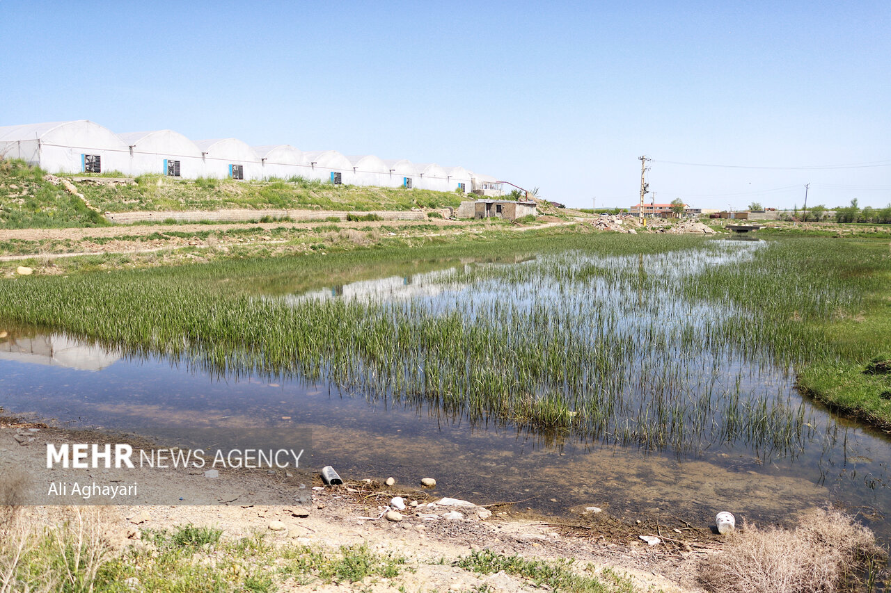 پایش زیست‌محیطی مصب رودخانه آجی‌چای در شرق پارک ملی دریاچه ارومیه