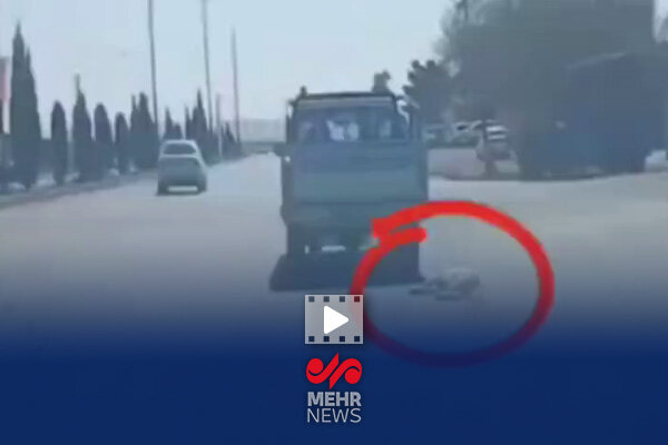 پشیمانی حیوان‌آزار سمنانی که لاشۀ سگی را روی خیابان‌ها می‌کشید