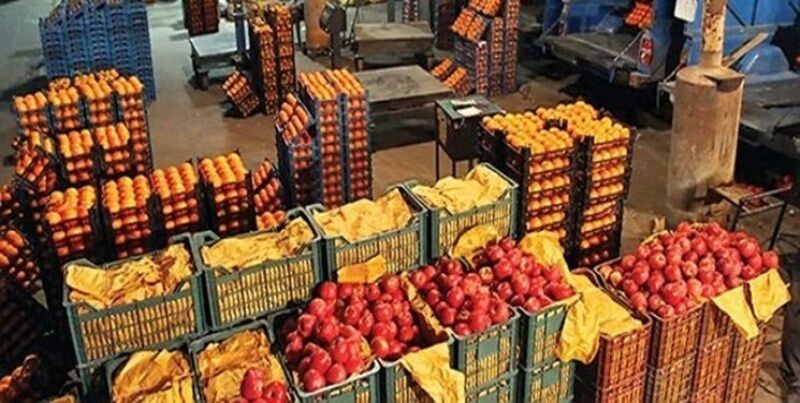 پنج هزارتن میوه و ۱۴ هزارتن مرغ برای شب عید تهران ذخیره‌ شد