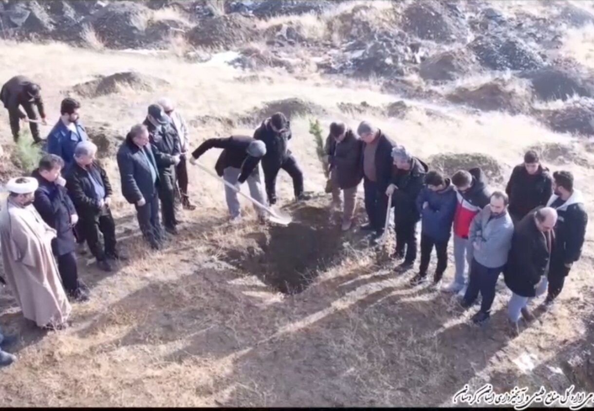 پویش ملی «درختی برای پدر، سبزی برای ایران» در سنندج برگزار شد