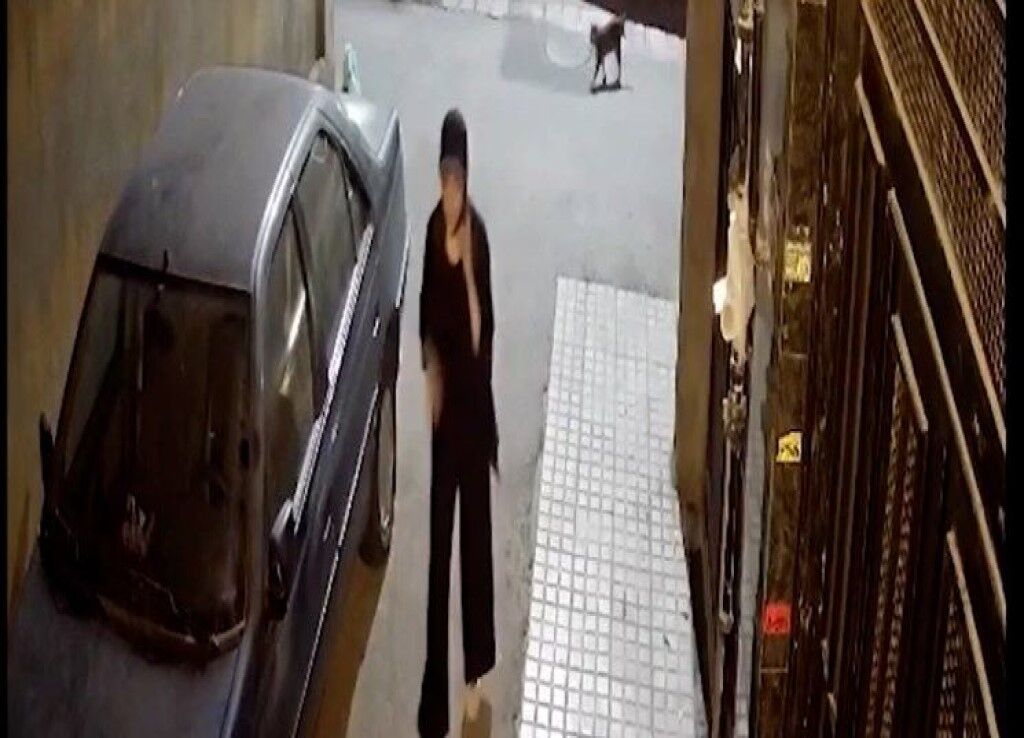 پیام لحظه آخری نیکا شاکرمی به مادرش: تقصیر هیچکس نبود!