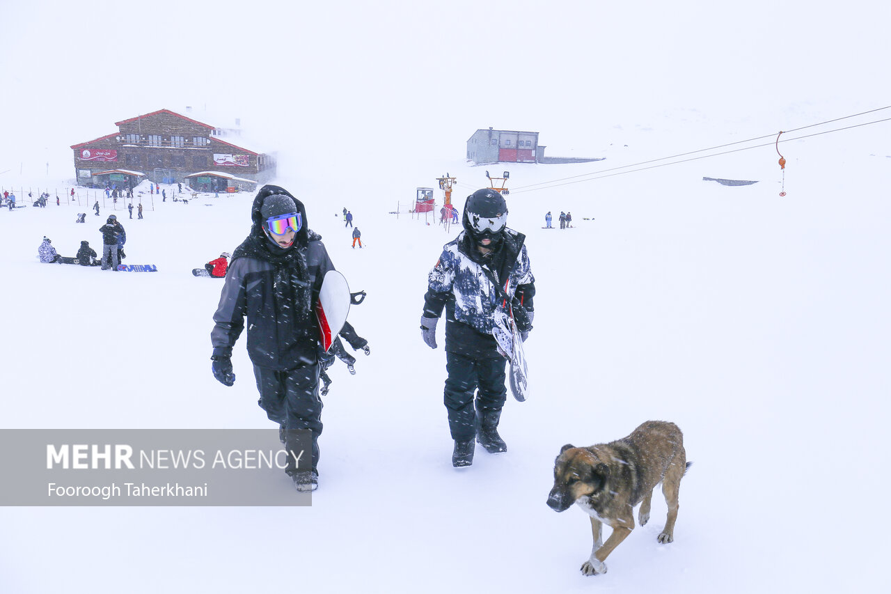 پیست اسکی توچال